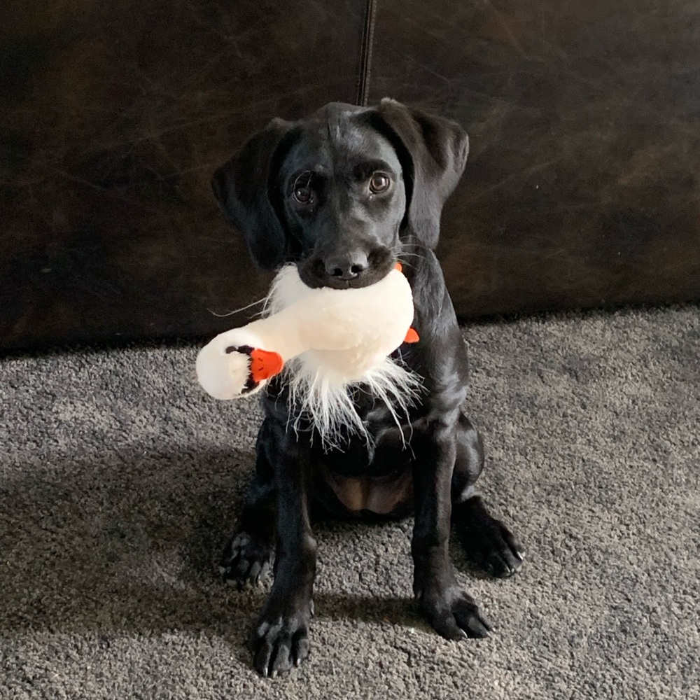 Hi welcome to Pam’s Preloved